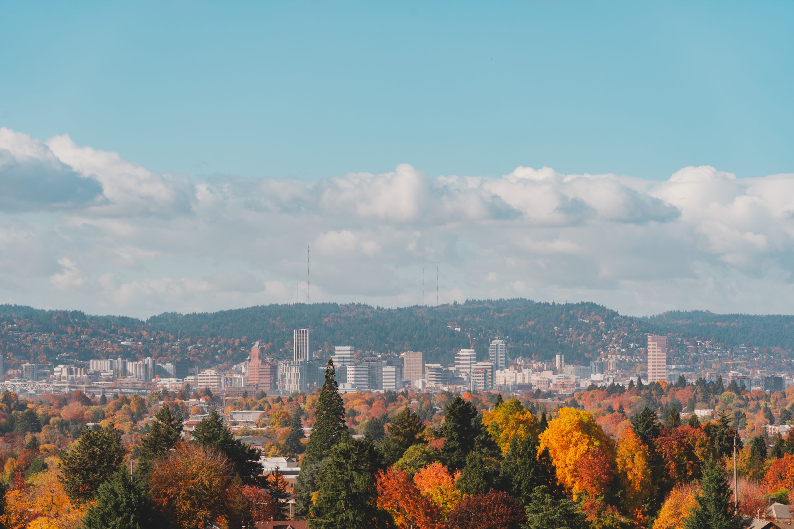 Portland from a distance